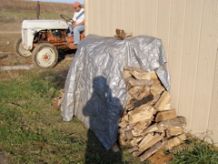 PB028083.JPG