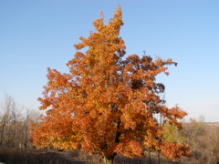 PB028088.JPG