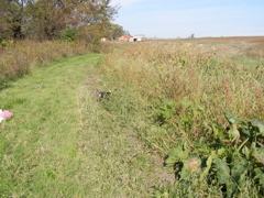 PA117899.JPG
