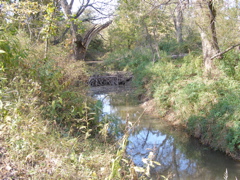 PA117911.JPG