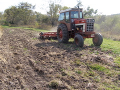 PA117915.JPG