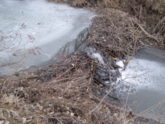 PC148709.JPG