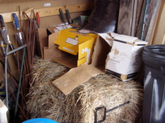 PC148713.JPG