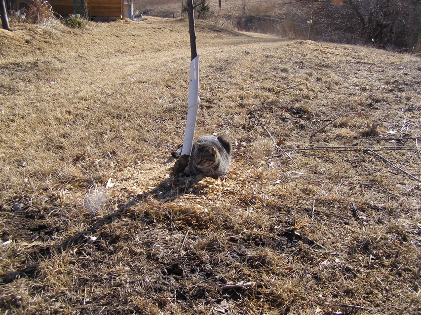 P1319064.JPG