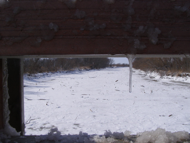 P2149095.JPG