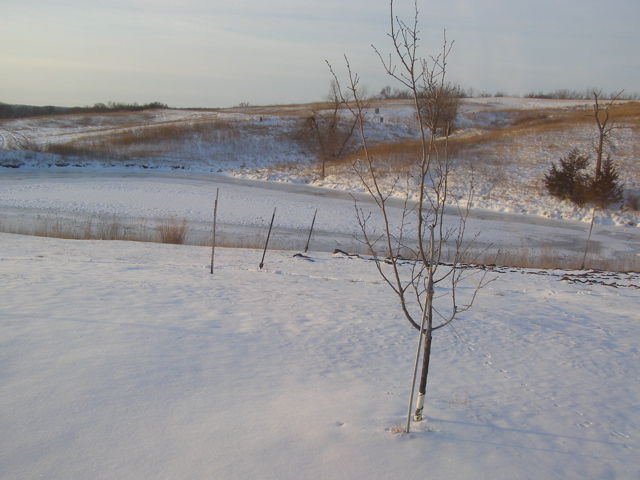 P2169141.JPG