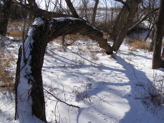 P2169149.JPG