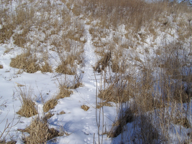 P2169153.JPG