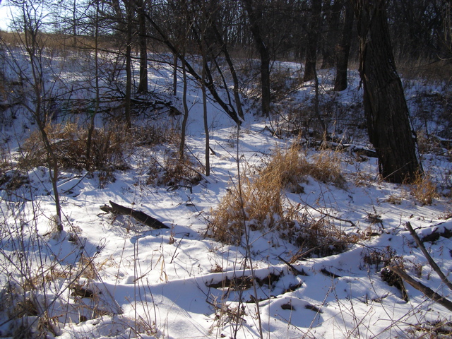 P2159122.JPG