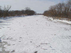 P2149094.JPG