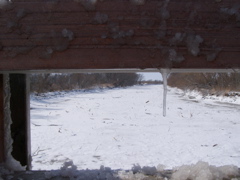 P2149095.JPG