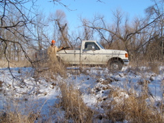 P2159124.JPG