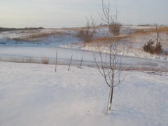P2169141.JPG