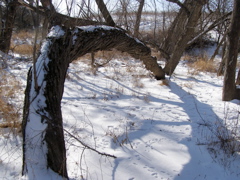 P2169149.JPG