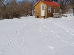 P2169156.JPG