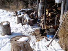 P2169157.JPG