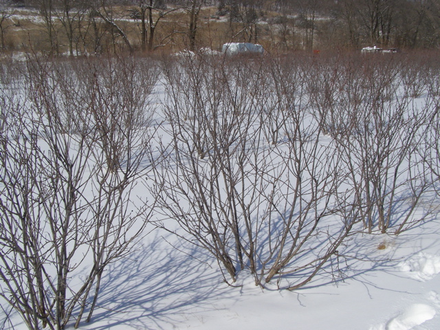 P2289247.JPG