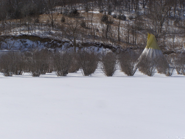 P2289250.JPG