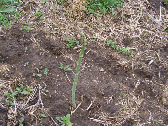P4259492.JPG