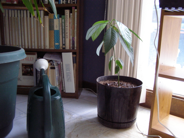 P4059431.JPG