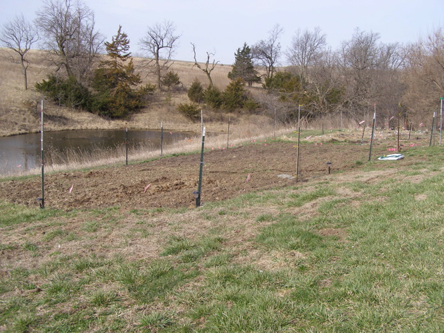 P4109442.JPG