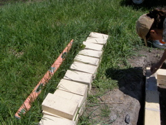 P5099600.JPG