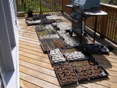 P5059541.JPG