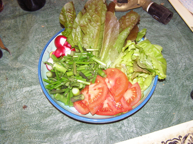 P5169653.JPG