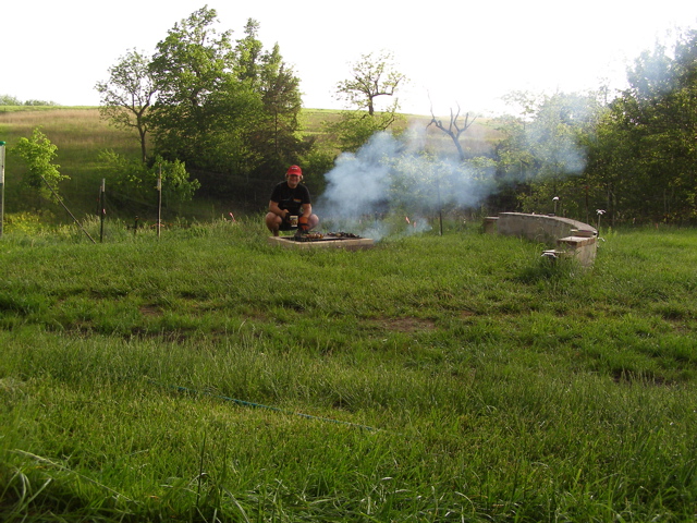 P5239694.JPG