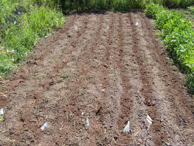 P8020136.JPG