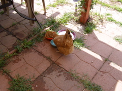P8010135.JPG