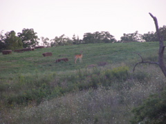 P8220520.JPG
