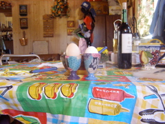P8230527.JPG