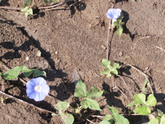 P8202793.JPG
