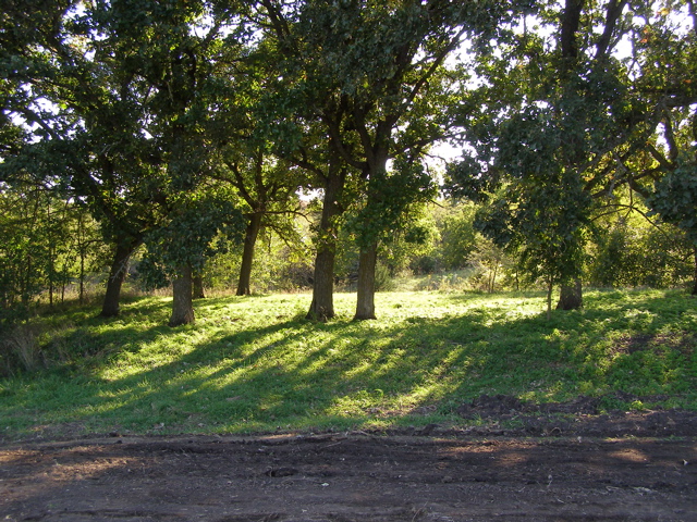P9253201.JPG