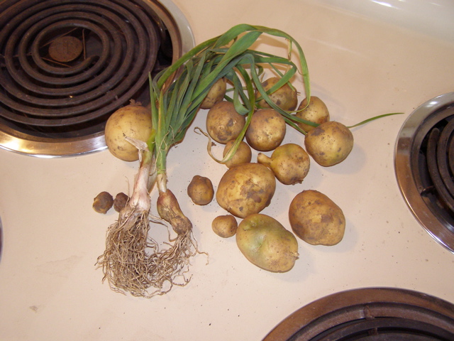 PA153378.JPG