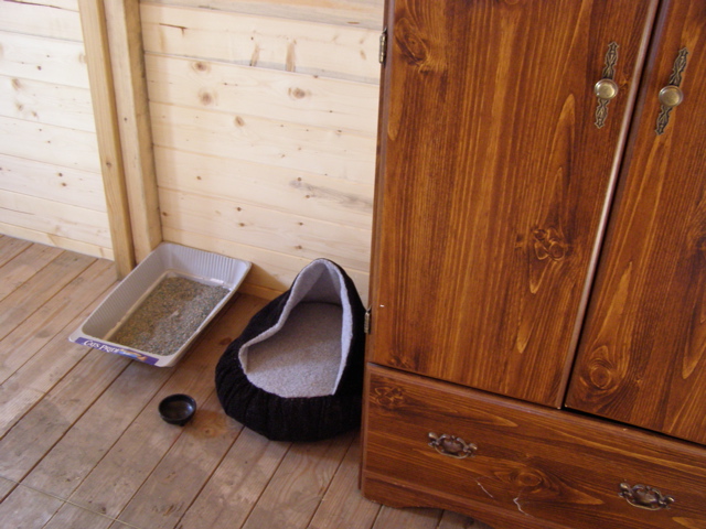 PA093358.JPG