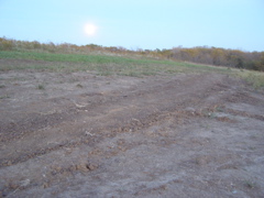 PA073340.JPG