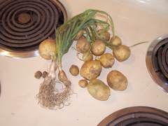 PA153378.JPG