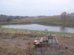 PA163406.JPG