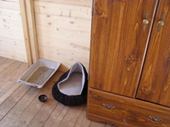 PA093358.JPG